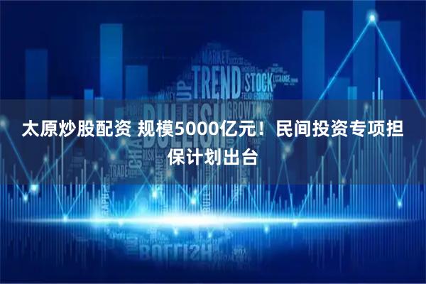 太原炒股配资 规模5000亿元！民间投资专项担保计划出台